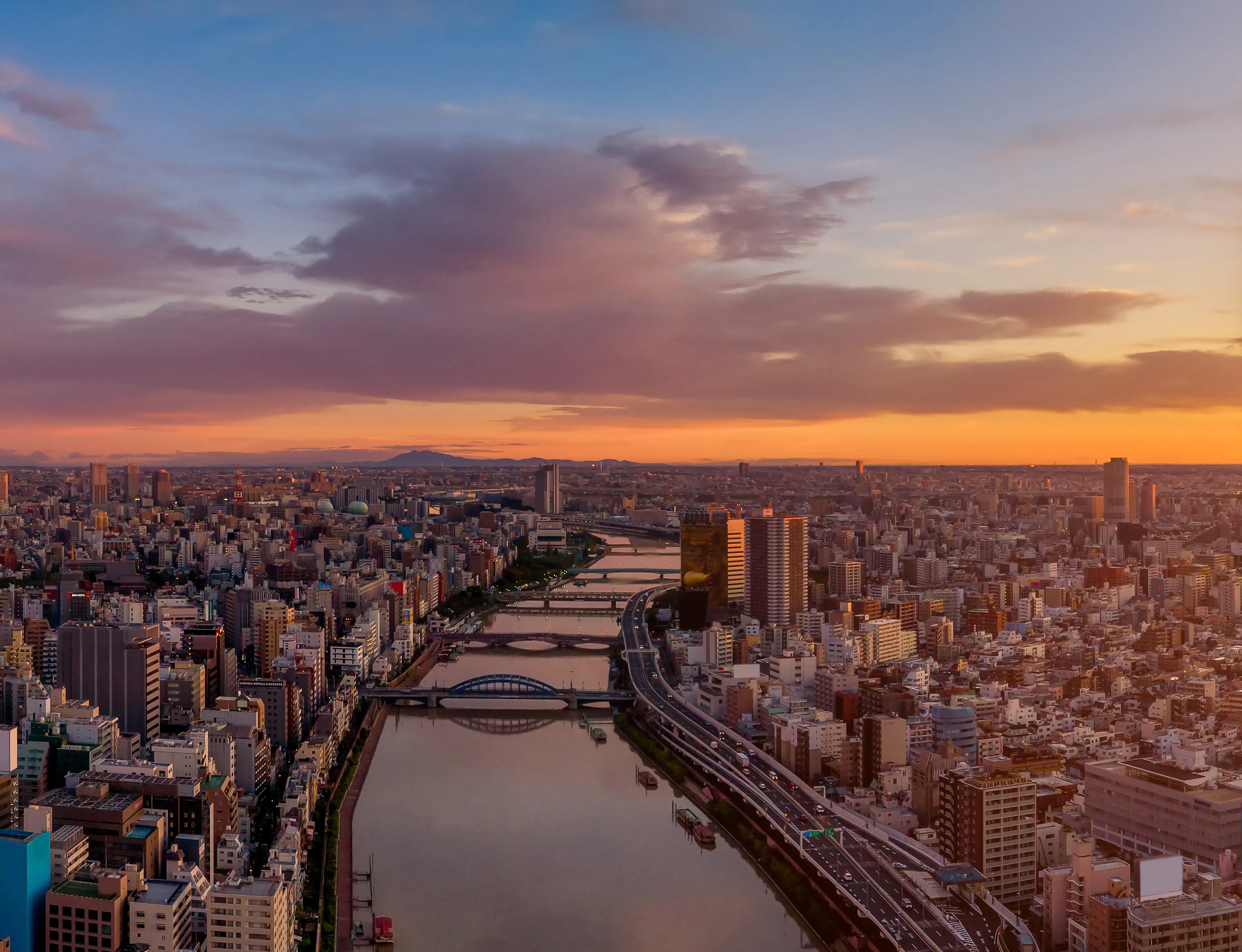 What Are The Best Things To Do In Tokyo At Night? - Trip To Japan