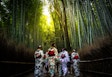 京都・嵐山の終日プライベートガイドツアー