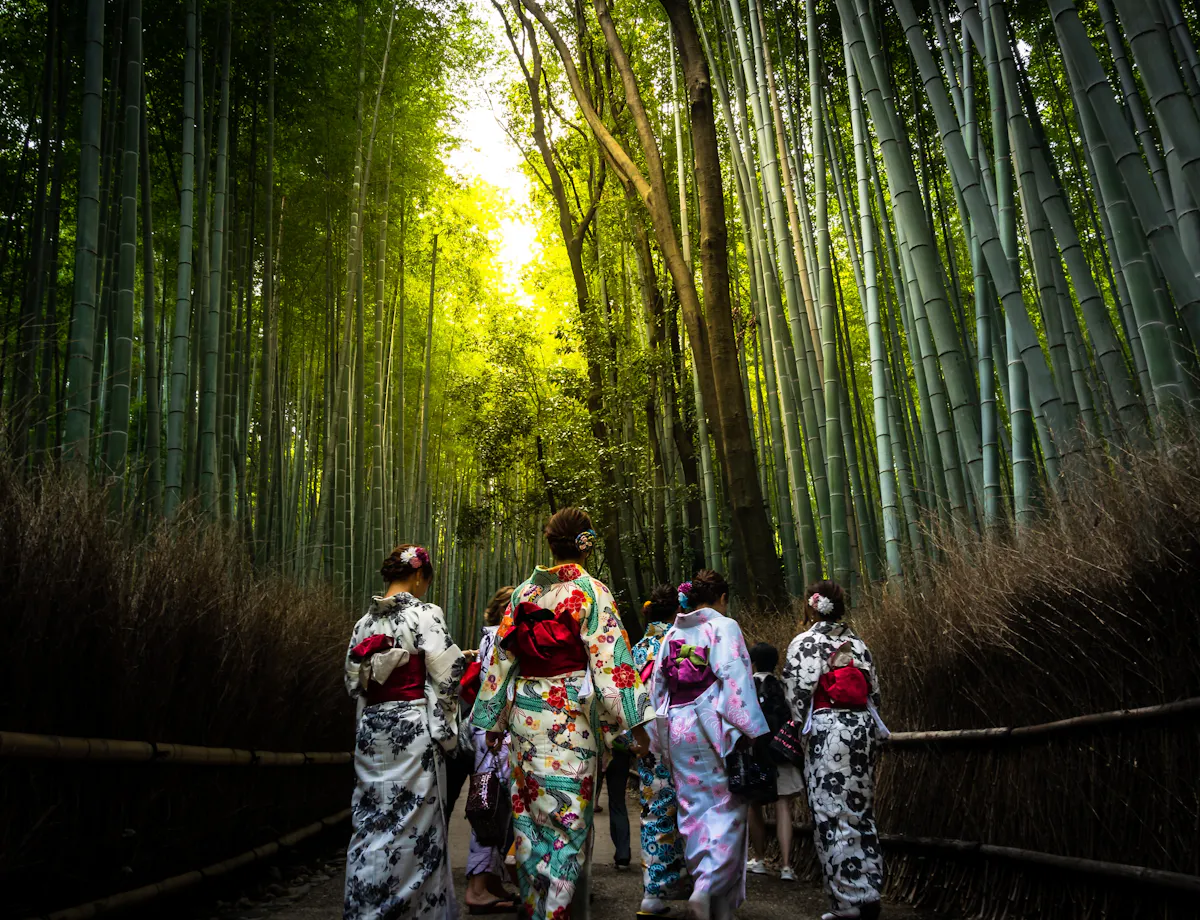 Arashiyama Bamboo Grove Arashiyama Bamboo Grove
