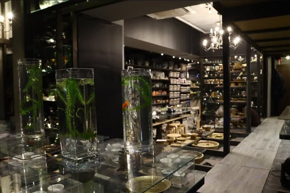 A cozy, dimly lit store interior with shelves full of pottery and ceramics. In the foreground, tall glass vases with water, green plants, and a goldfish are displayed on clear stands.