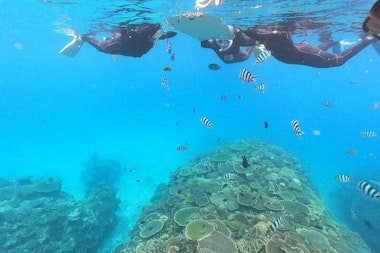 Okinawa Snorkeling