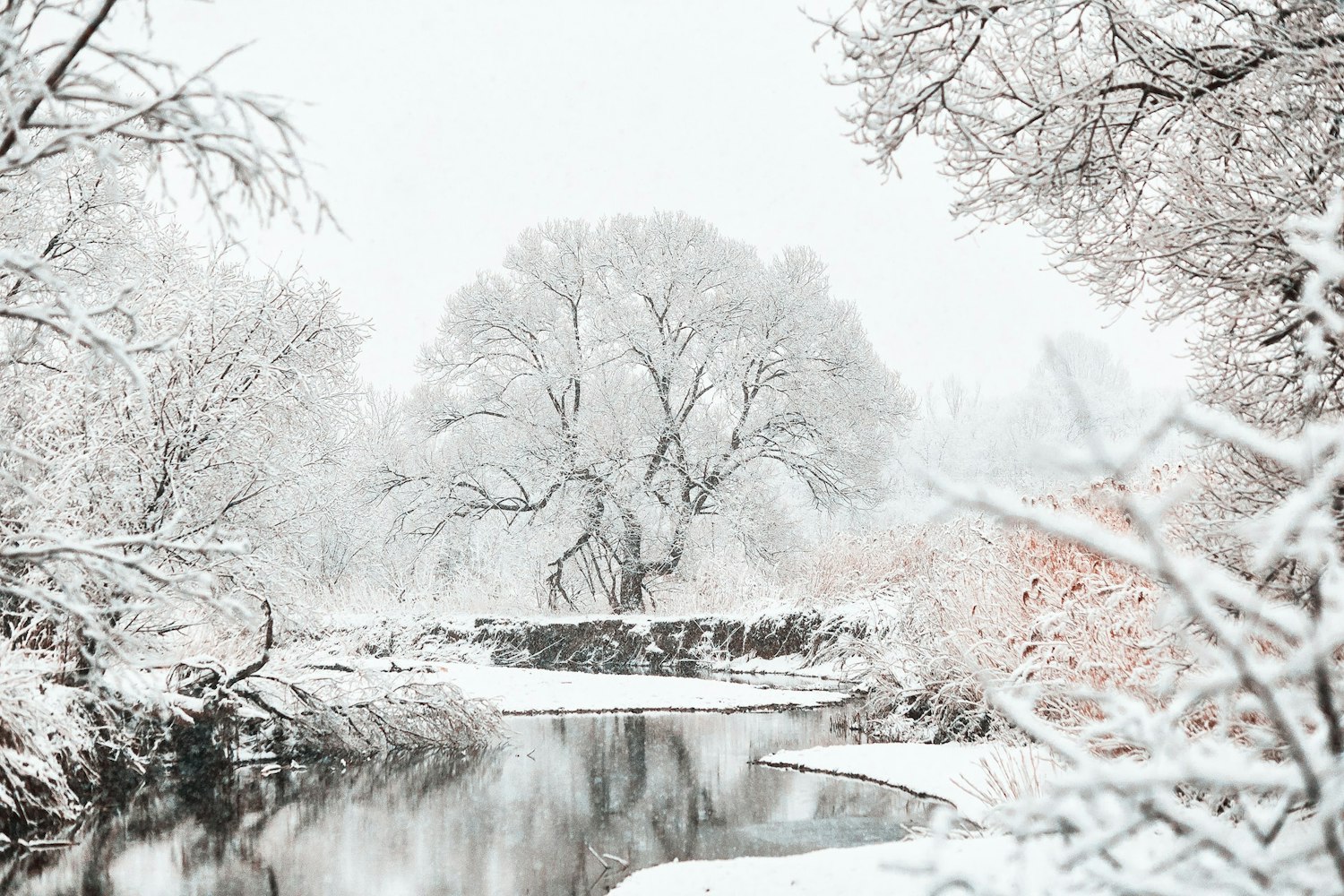 Winter in Japan