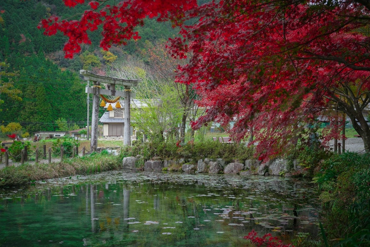Japan Natural Scenery