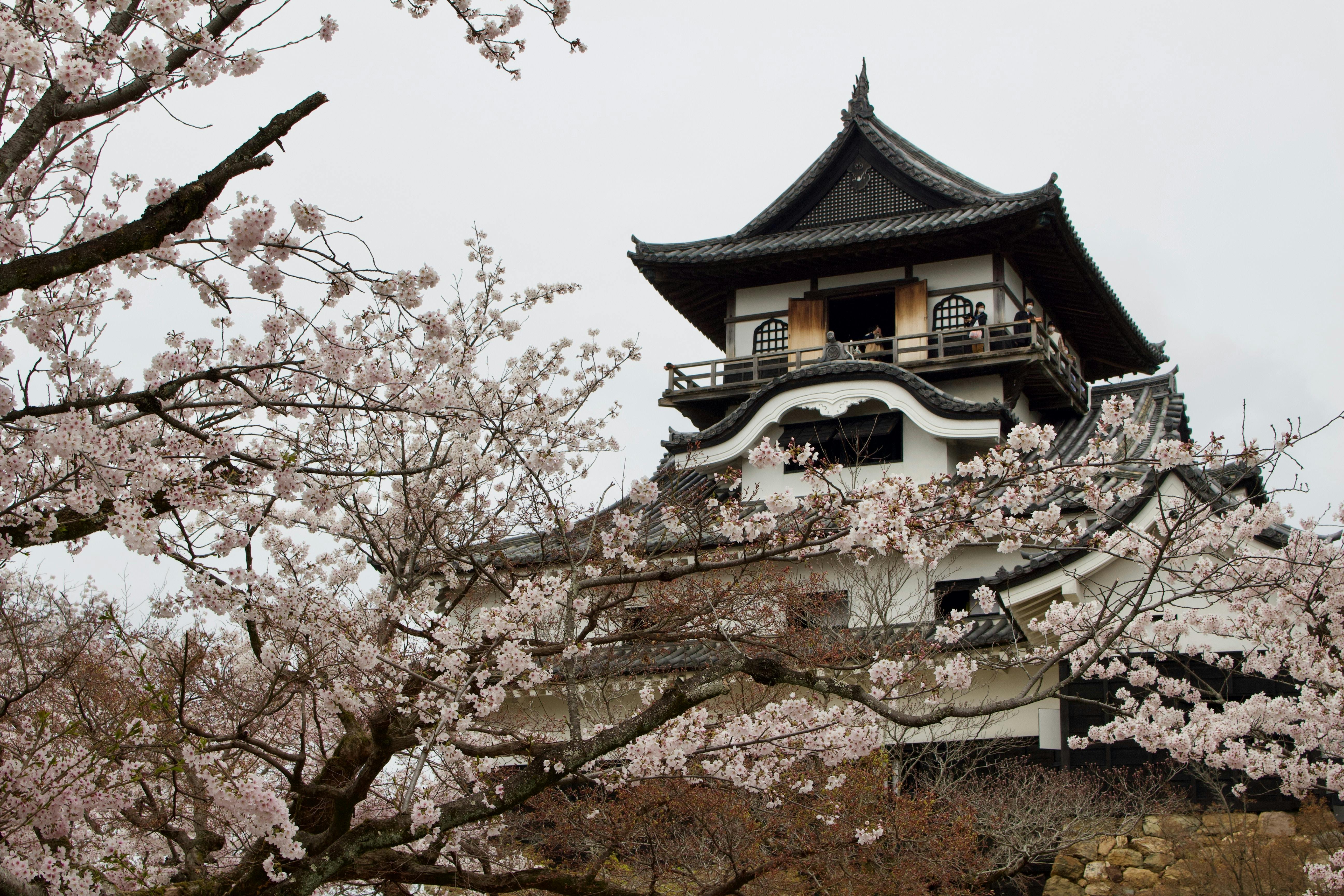 Inuyama Castle