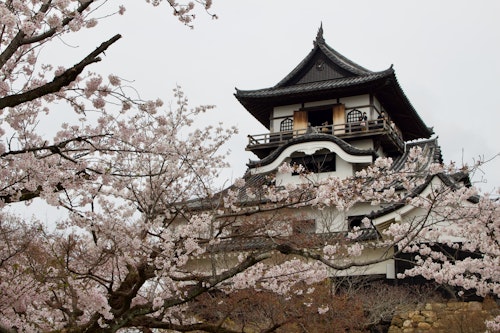 Inuyama Castle