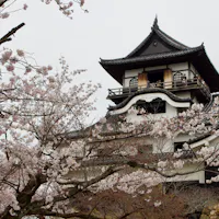 Inuyama Castle Inuyama Castle