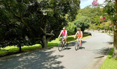 Nara Bike Tour