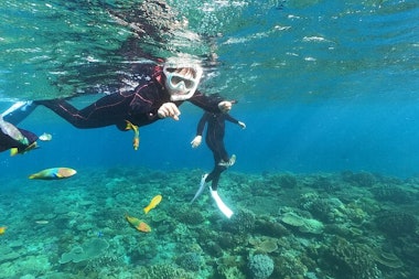 Okinawa Snorkeling