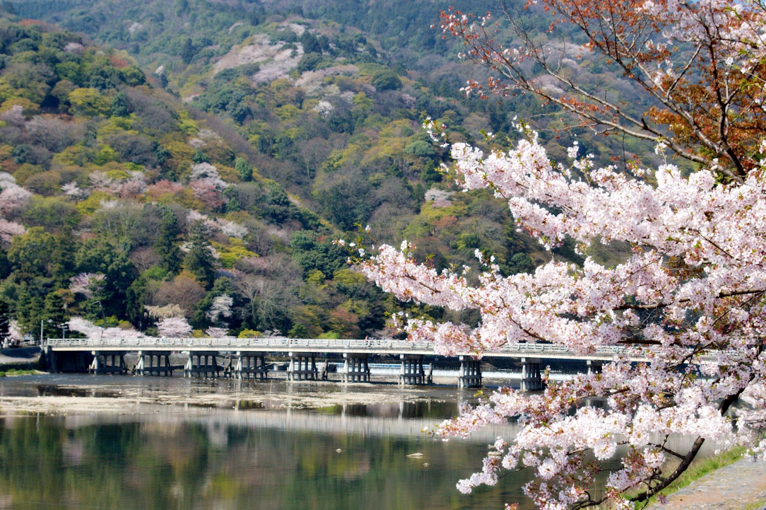 Togetsukyo Bridge