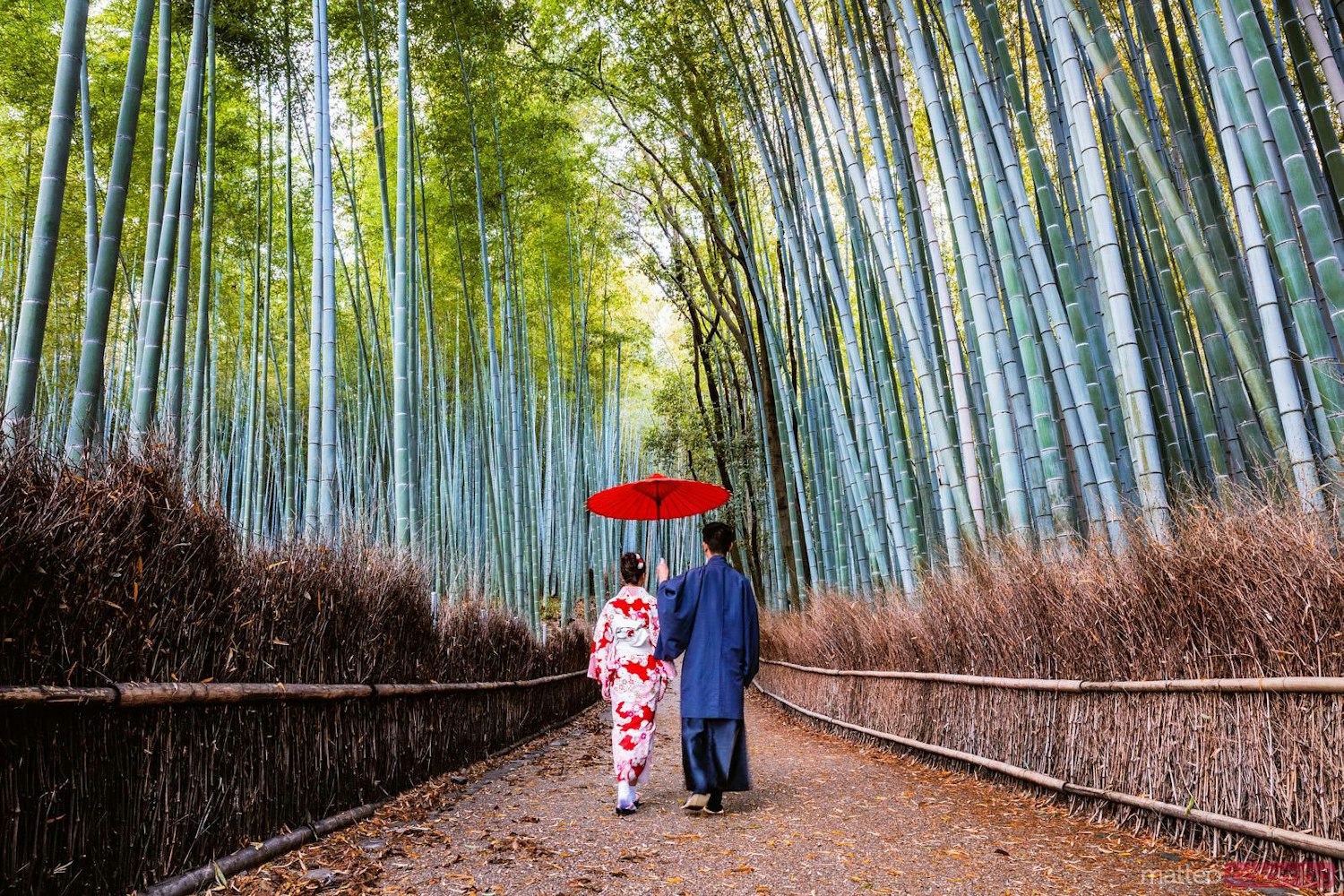 Arashiyama Bamboo Grove