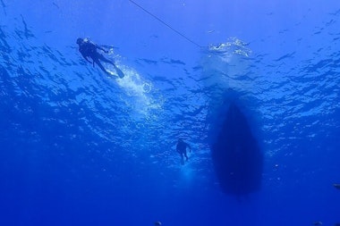 Okinawa Diving