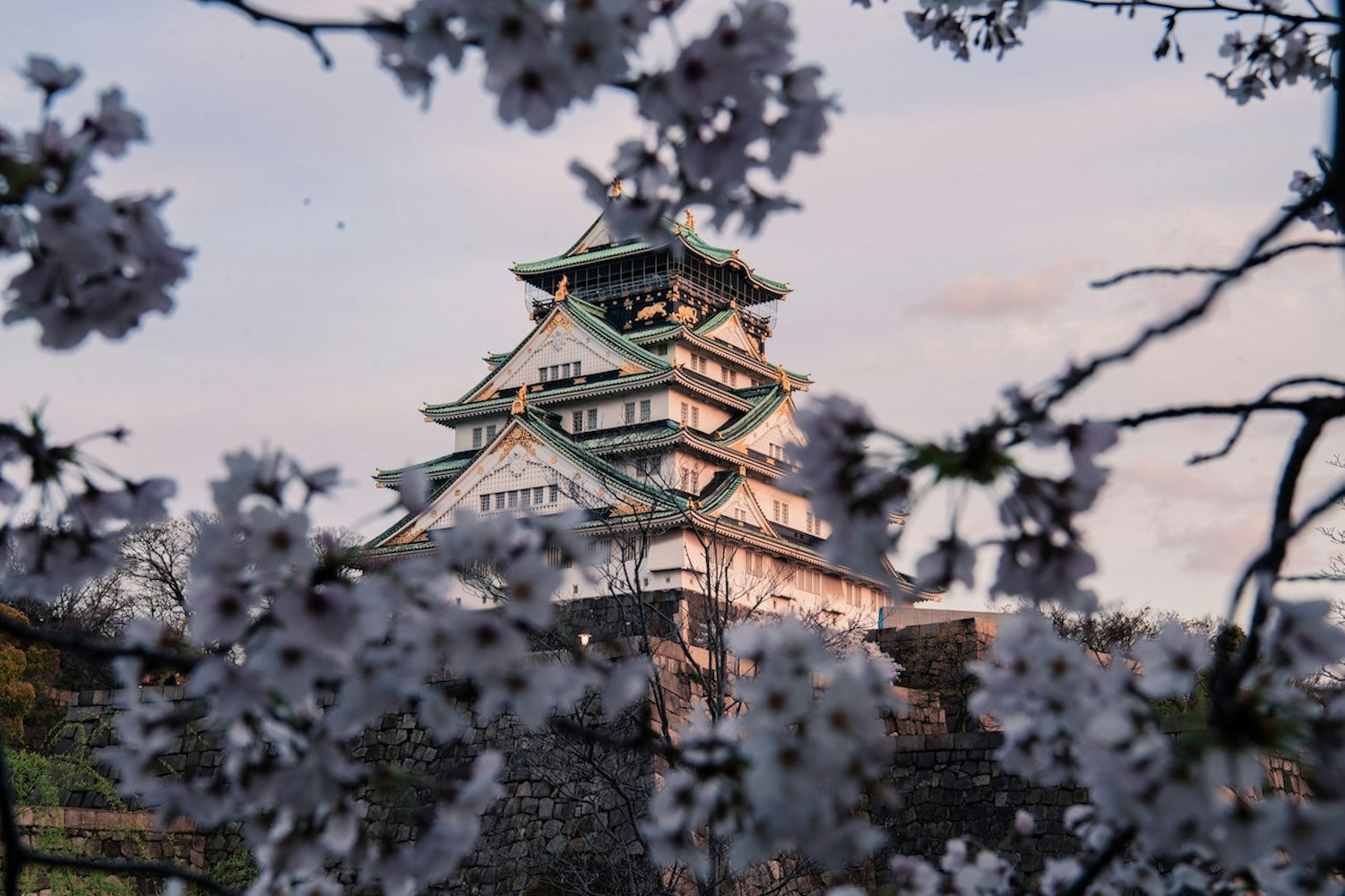 Osaka Castle