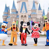 Disneyland Disneyland