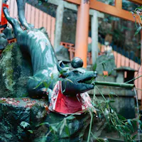 Kitsune Kitsune