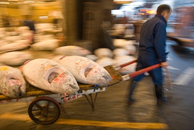 Fish Market