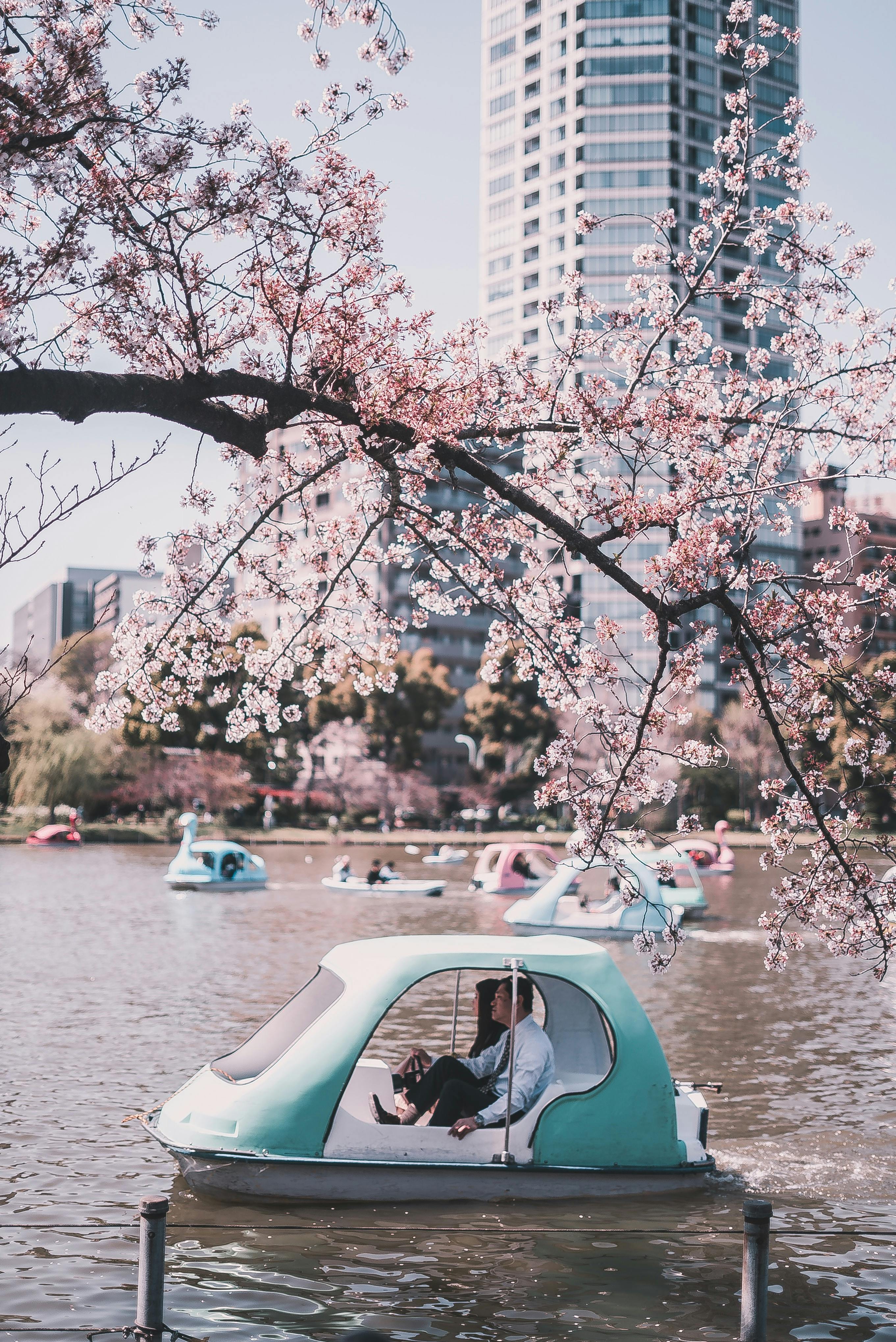 Ueno Park in Tokyo: Highlights, Access & Tips - Trip To Japan