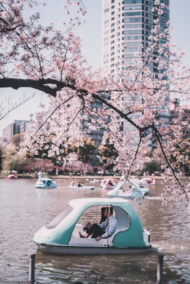 Ueno Park