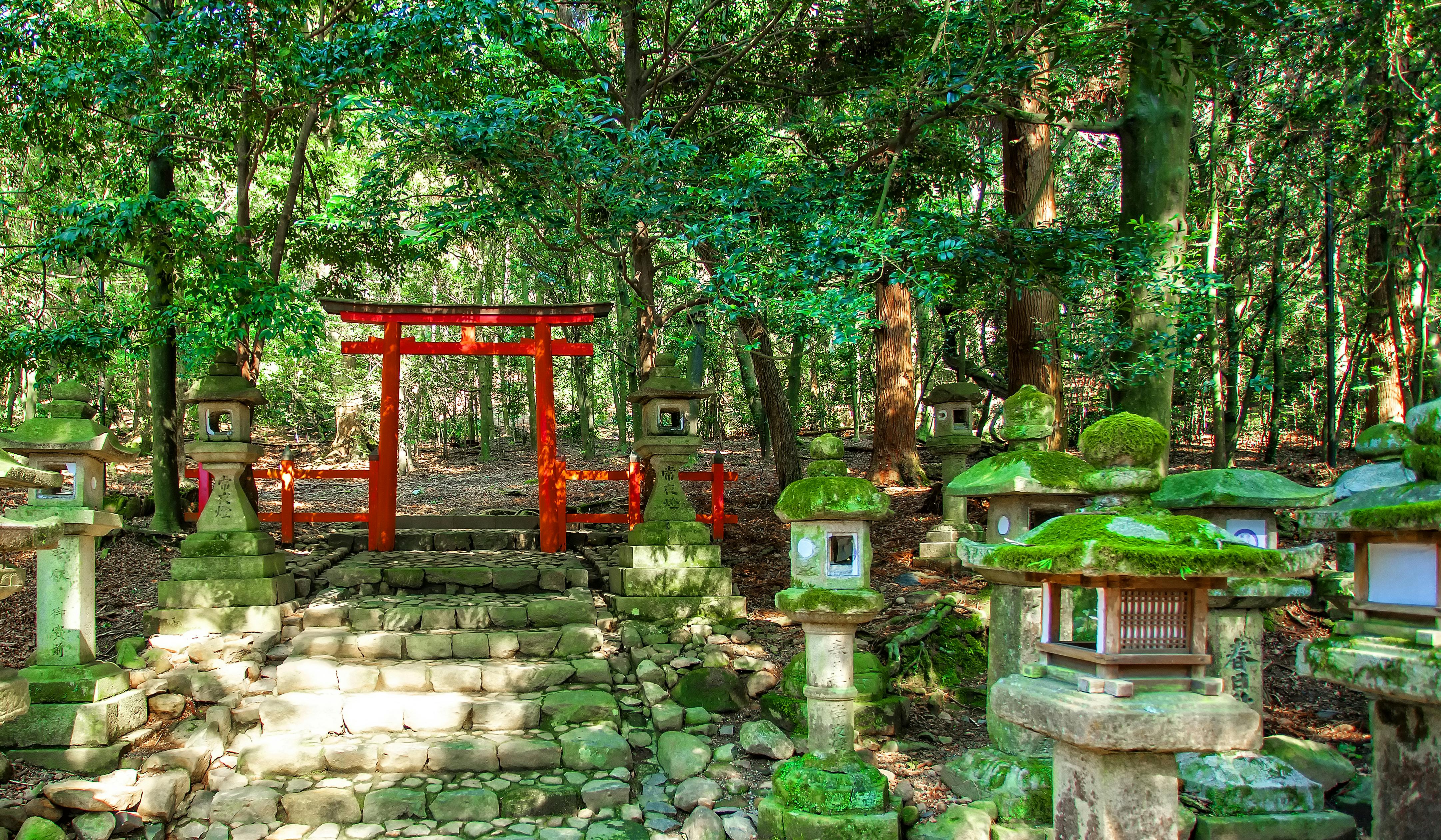 A stone path with moss-covered lanterns leads to a bright red torii gate in a lush, green forest with sunlight filtering through the trees.