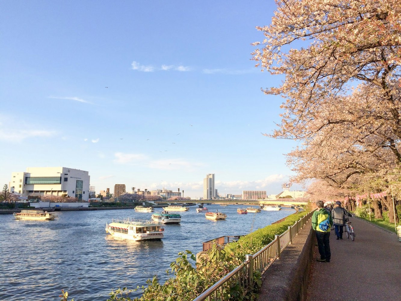 Cycling in Tokyo