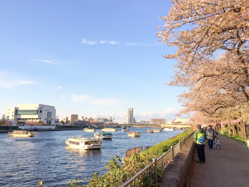 Cherry blossoms line a riverside walkway, where a few people on bicycles ride by. Multiple boats are seen on the river, and buildings in the distance stand under a clear, blue sky. The scene is calm and indicative of a pleasant day.