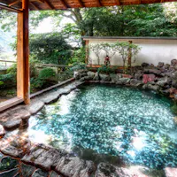 Hakone Onsen Hakone Onsen