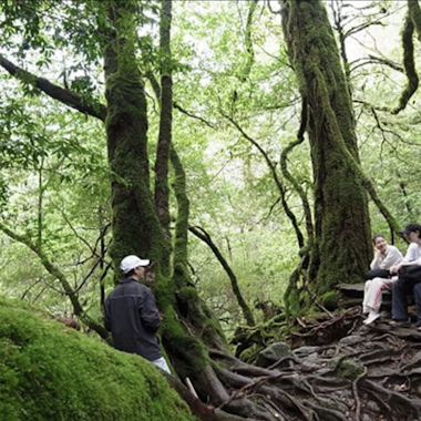 Yakushima Trekking Yakushima Trekking
