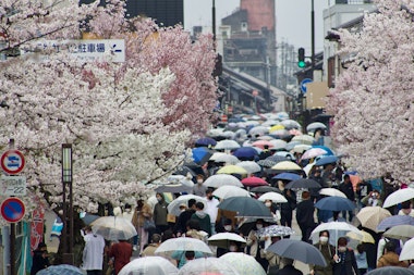 Inuyama Castle Town