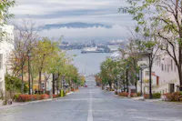 A wide, gently sloping street lined with trees and buildings leads down to a bay. Boats and ships are docked at the waterfront, and hills with a layer of fog can be seen in the background. The autumn trees add vibrant colors to the scene.
