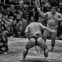 Sumo Wrestling A black and white photo of a sumo wrestling match in an arena. Two sumo wrestlers face each other while a referee stands to the side. The audience watches intently, with many taking pictures and filming the event. The atmosphere is intense and focused.