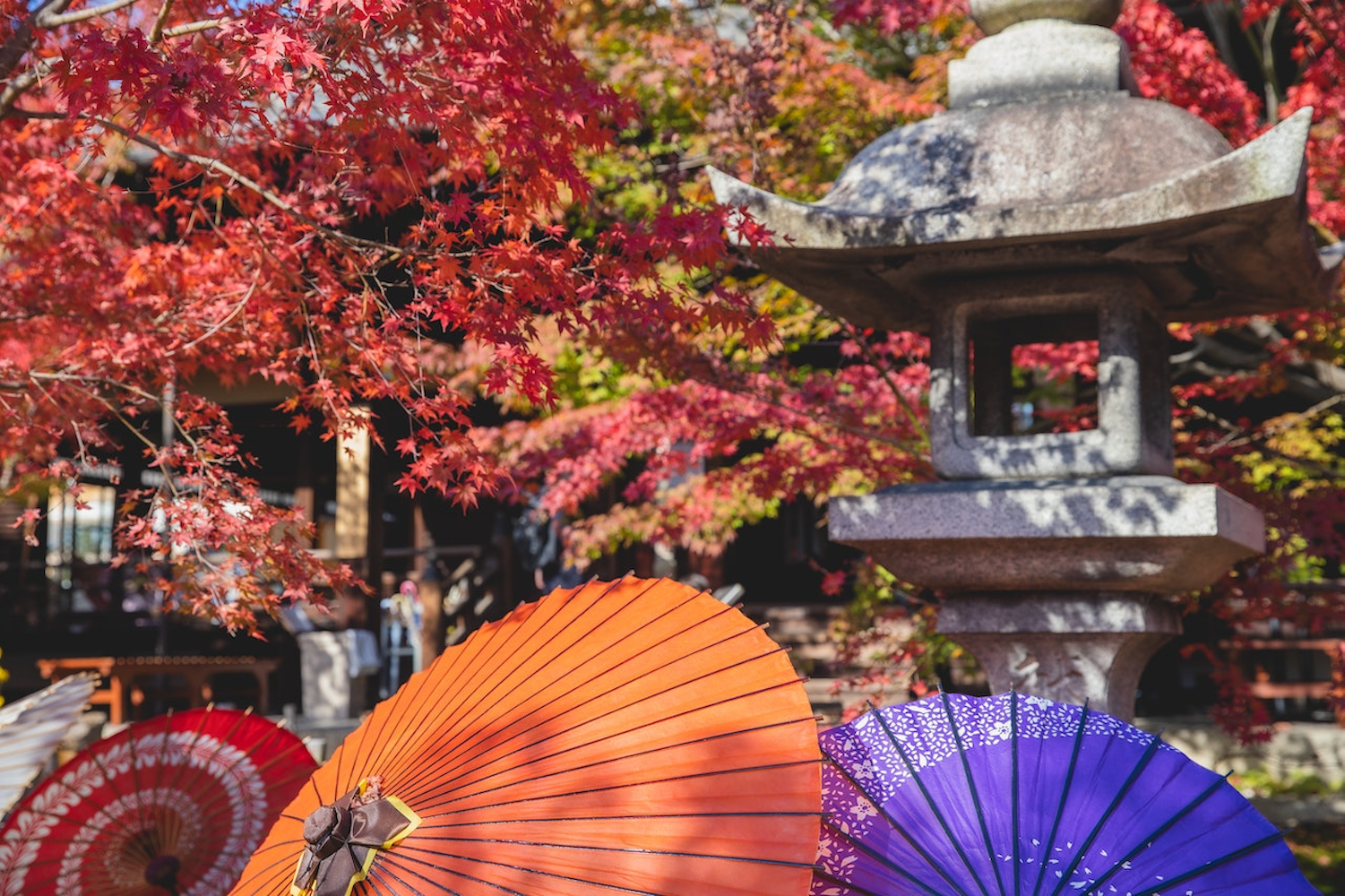 Autumn in Japan