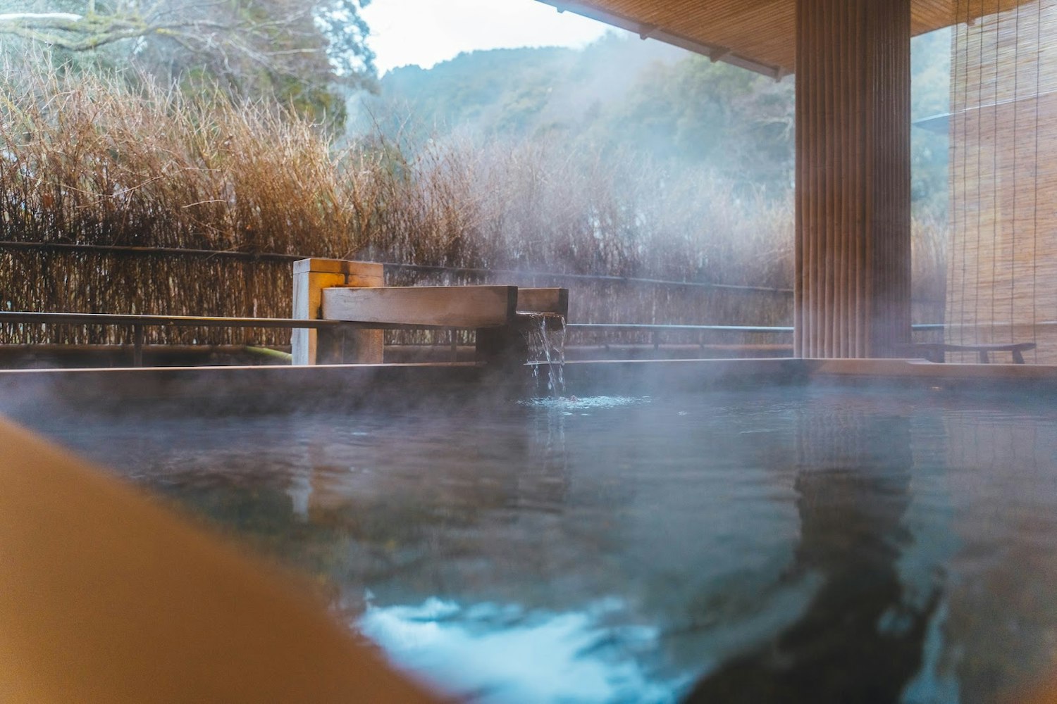 Onsen in Japan, Kinosaki at Nishimuraya Hotel Shogetsutei