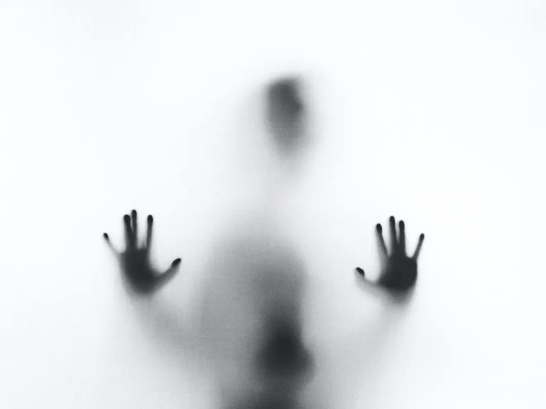 A blurry silhouette of a person with their hands pressed against a frosted or opaque surface. The image captures an ambiguous and mysterious figure, with the details of the face and body obscured.