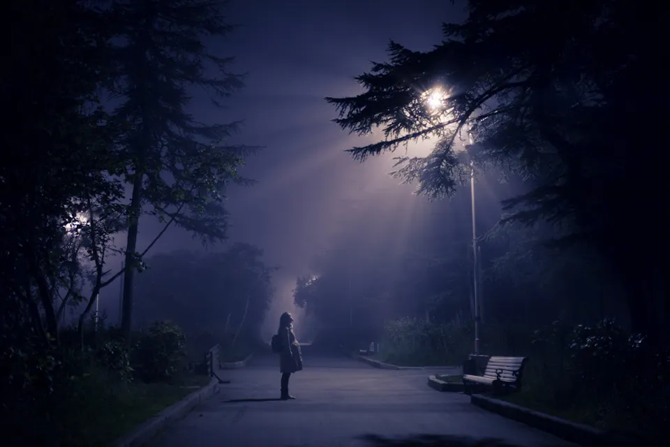 A person stands alone on a quiet, foggy path at night, illuminated by a streetlamp. Tall trees loom on either side of the path, partially obscured by the mist. The scene is tranquil yet eerie, with beams of light cutting through the fog.