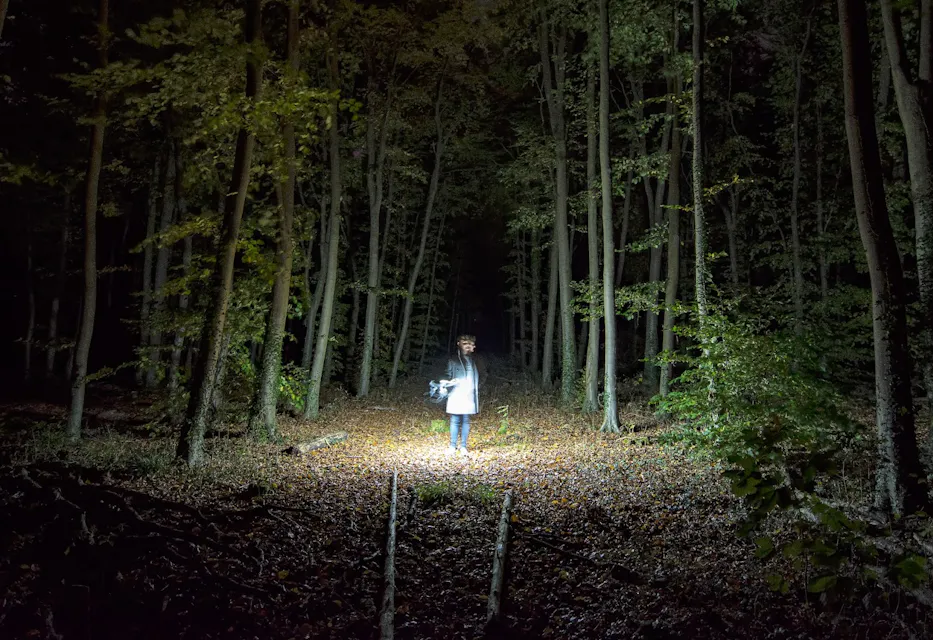 A person stands alone illuminated by a bright light in the middle of a dark forest, surrounded by tall trees. The individual is holding a bicycle, creating a stark, eerie contrast between the lit foreground and the shadowy background.