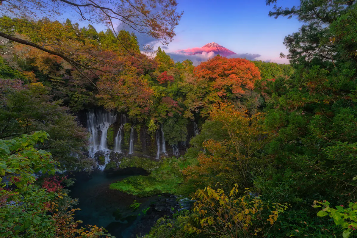 Shiraito Falls A scenic landscape features a waterfall cascading through lush, green foliage, with tall trees turning autumn shades of orange and red. In the background, a majestic snow-capped mountain stands under a clear blue sky during sunset.