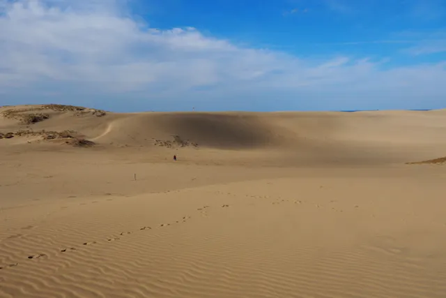 Tottori Sand Dunes