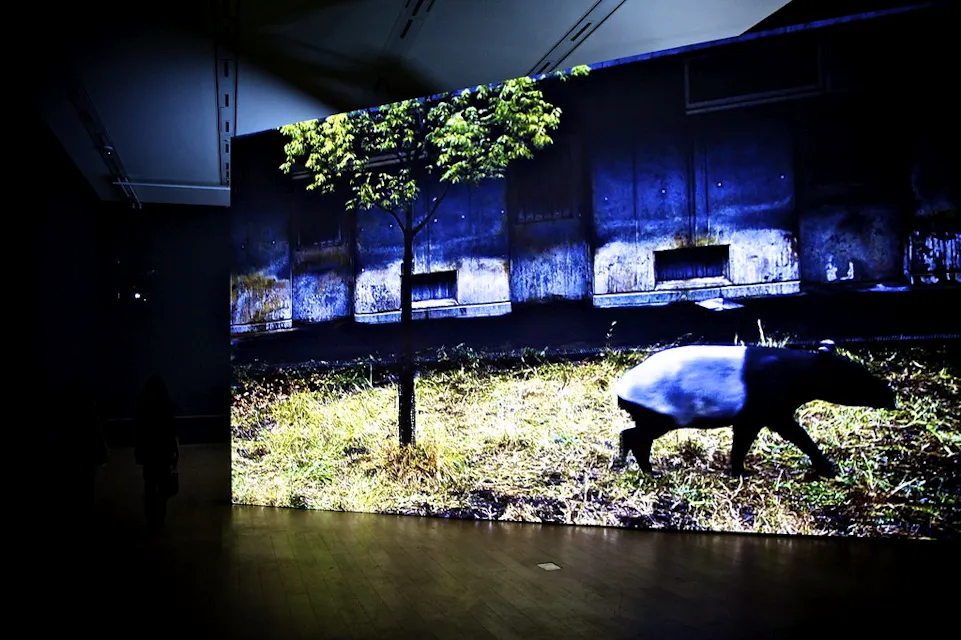 어두운 조명이 비치는 갤러리에 초록 잔디 위를 걷는 타피르의 이미지가 있는 큰 조명화면이 전시되어 있습니다. 배경에는 작은 나무와 어두운 콘크리트 벽이 있습니다. 방 안에는 설치물을 관찰하는 몇몇 사람들이 있습니다.