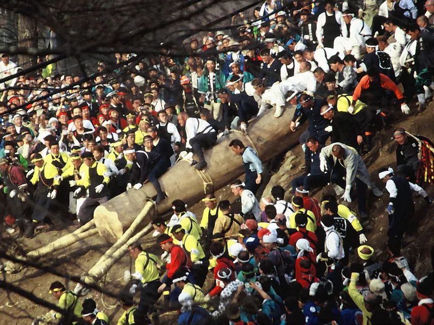 一大群穿着色彩斑斓传统服饰的人们聚集在一起，共同努力将一根巨大的木头从山上推下，在节庆中。有些人正攀爬在木头上，而其他人则从两侧引导和支持木头。