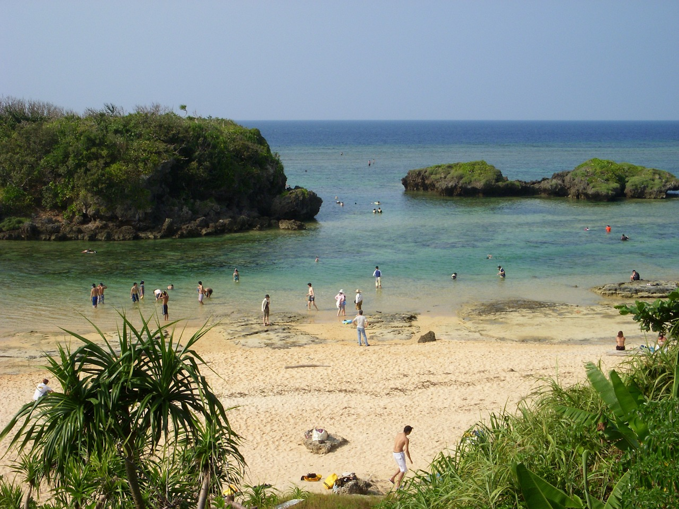 Iriomote Island‍