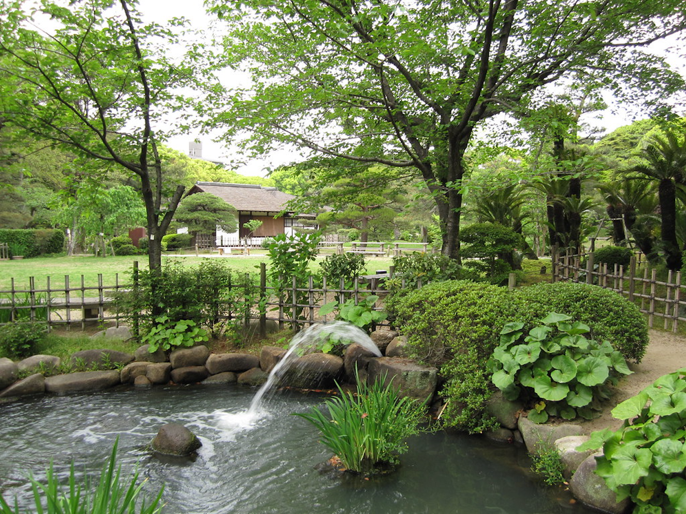 Shukkei-en Garden