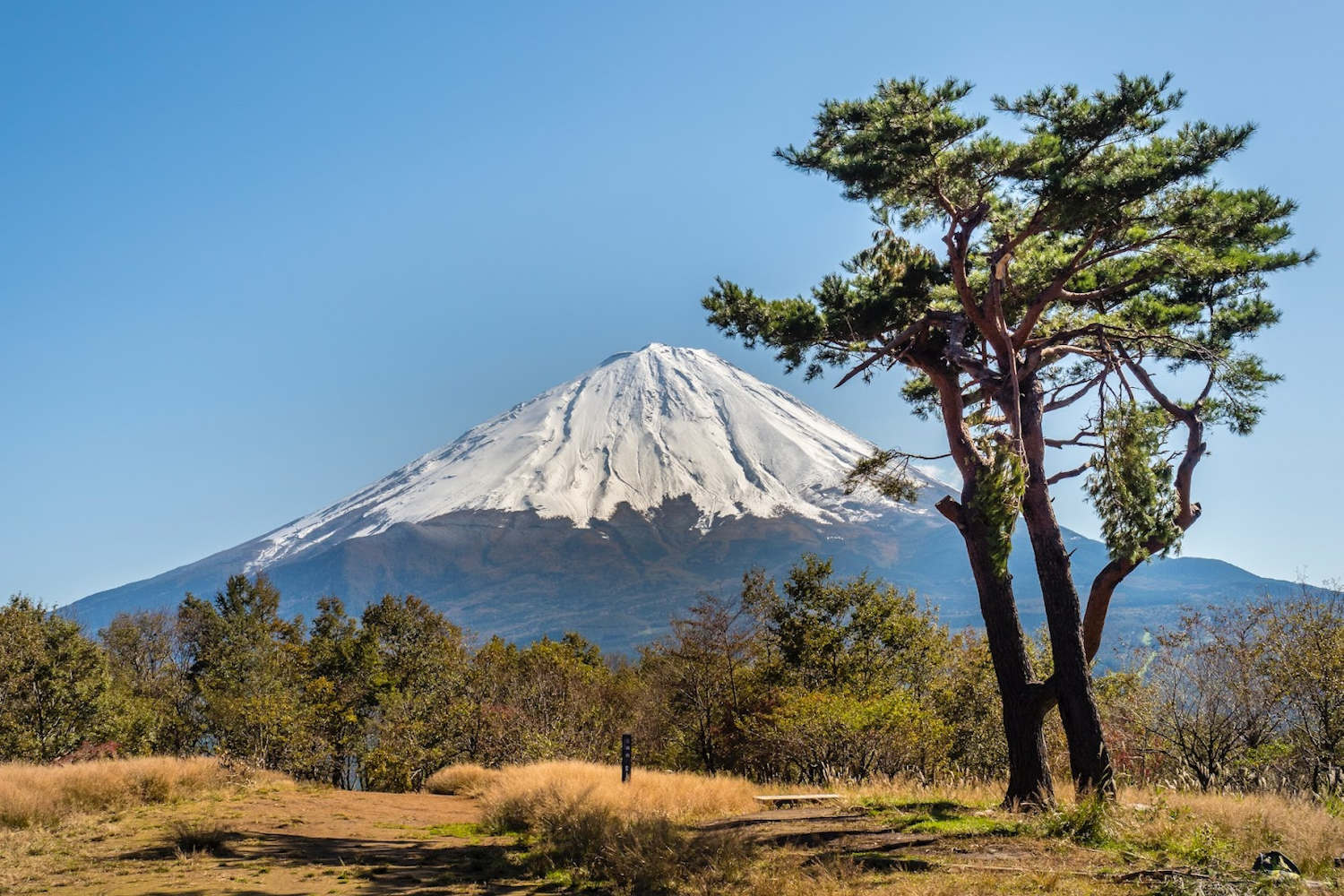 Mount Fuji