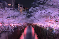 Nakameguro