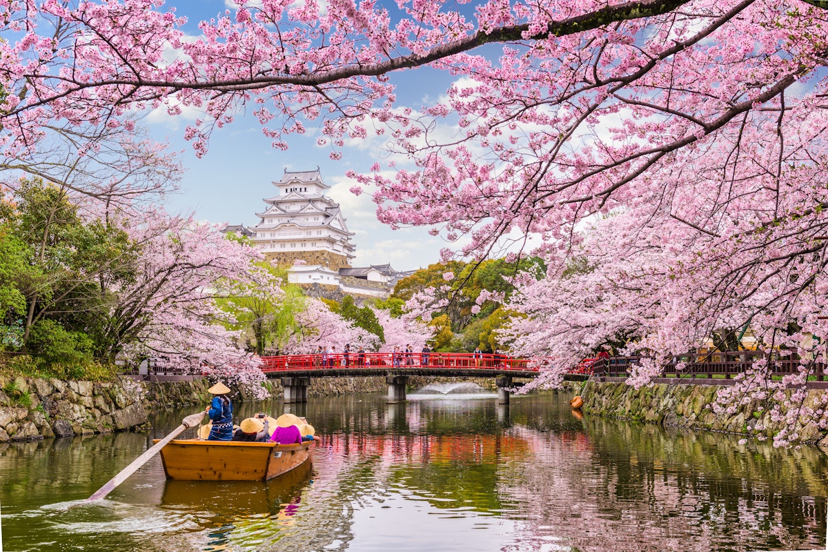 cherry blossom gardens in japan