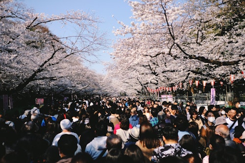 Ueno Park, Tokyo