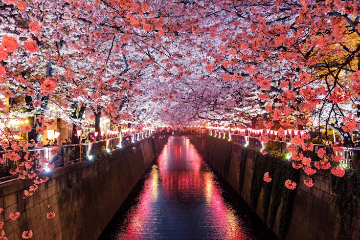 Meguro River, Matsuno
