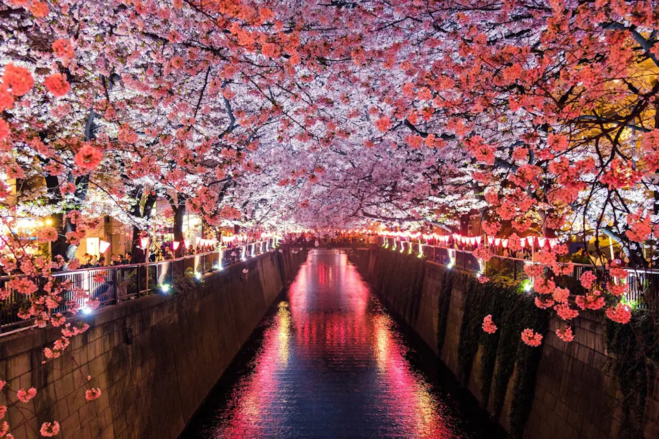 Meguro River, Matsuno
