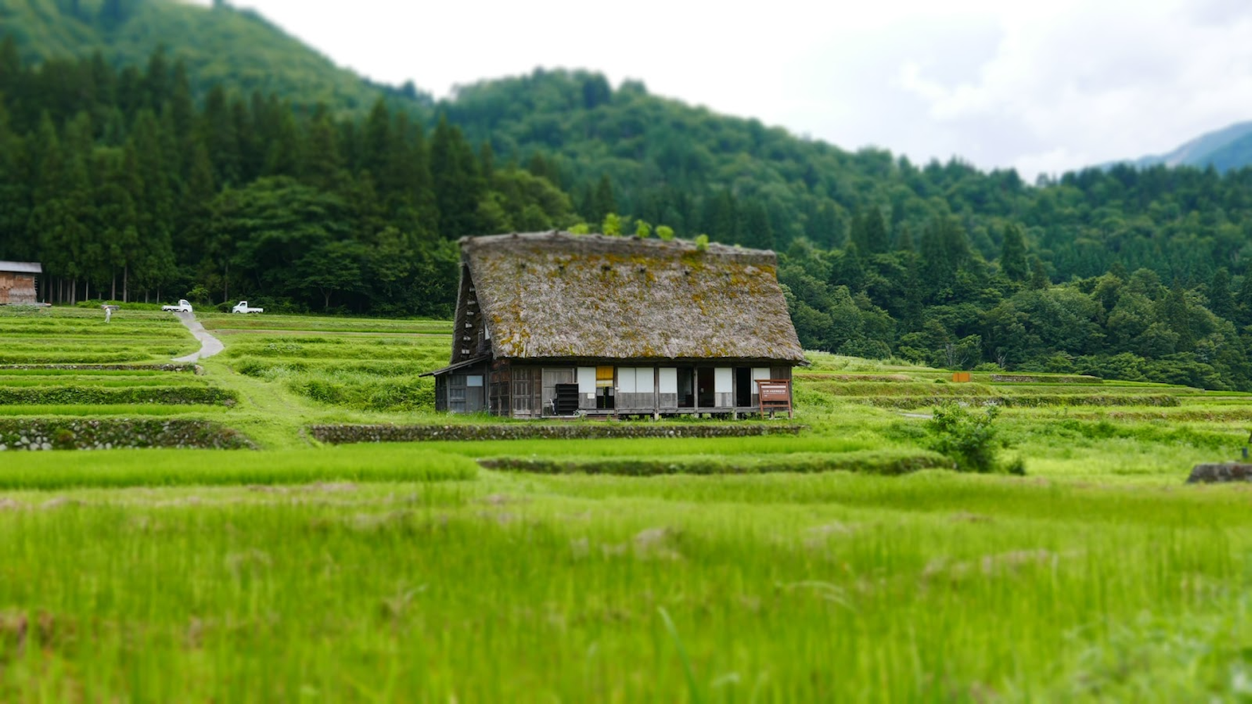 Nōka Minshuku