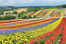 Biei, Hokkaido, Japan
