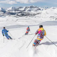 Skiing Skiing