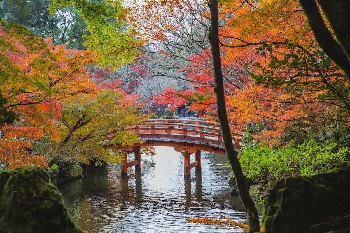 Autumn Colors